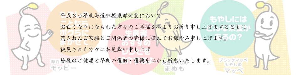 平成30年北海道胆振東部地震において
