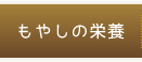 もやしの栄養